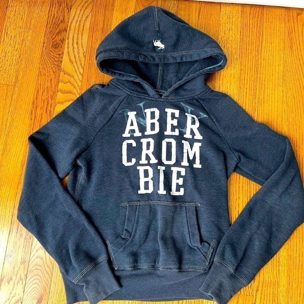 Abercrombie Kids Adirondack Heritage Graphic Hooded Sweatshirt Size Large Y2K